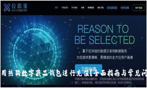 如何使用热狗数字藏品钱包进行充值？全面指南与常见问题解析