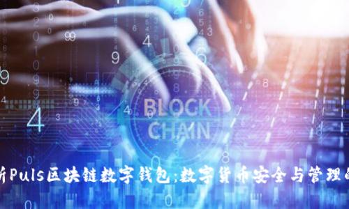 全面解析Puls区块链数字钱包:数字货币安全与管理的新选择