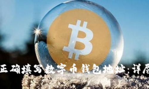 如何正确填写数字币钱包地址:详尽指南