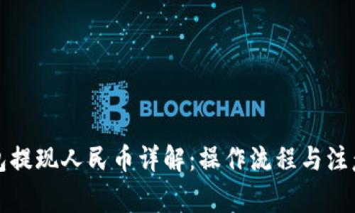 TP钱包提现人民币详解:操作流程与注意事项