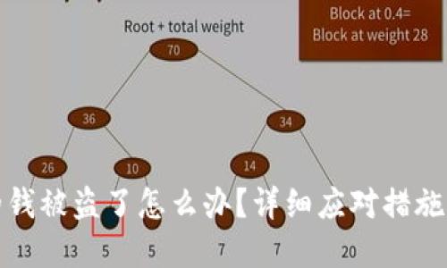TP钱包里的钱被盗了怎么办?详细应对措施与预防建议