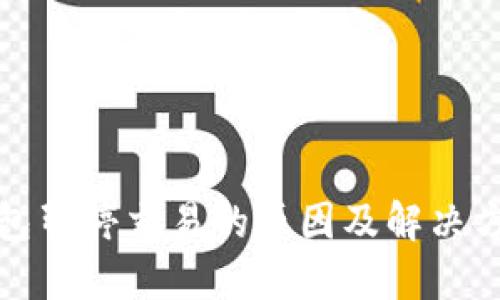数字钱包暂停交易的原因及解决方法详解