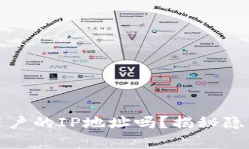 加密钱包会记录用户的IP地址吗?揭秘隐私保护背后的真相
