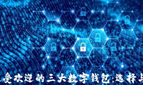 2023年最受欢迎的三大数字钱包:选择与比较指南