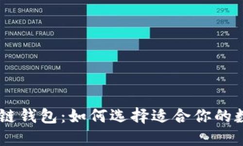 biasoti新锐区块链钱包:如何选择适合你的数字资产管理工具