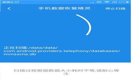 如何查询TP钱包标签位置及使用指南