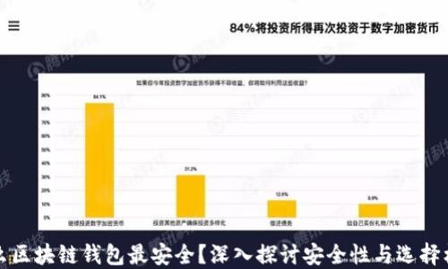 什么区块链钱包最安全?深入探讨安全性与选择标准