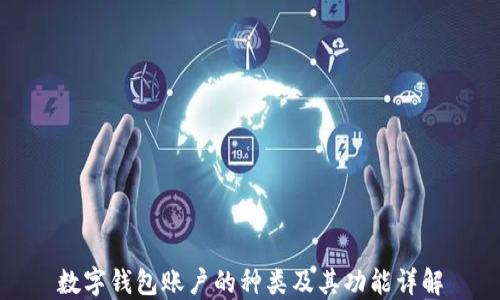 
数字钱包账户的种类及其功能详解