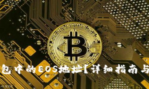 如何找到TP钱包中的EOS地址?详细指南与常见问题解析