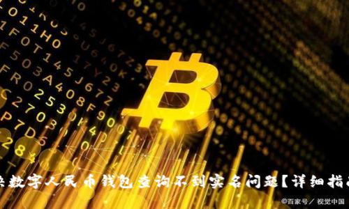 如何解决数字人民币钱包查询不到实名问题?详细指南及解析