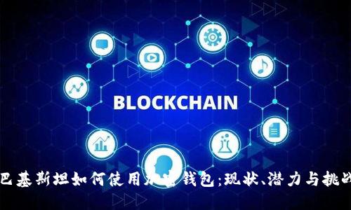 巴基斯坦如何使用加密钱包:现状、潜力与挑战