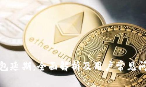 数字钱包延期:全面解析及用户常见问题解答