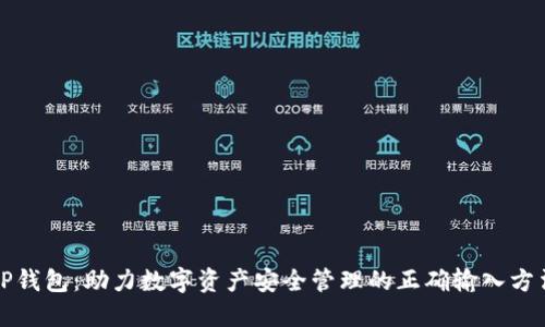 TP钱包:助力数字资产安全管理的正确输入方法