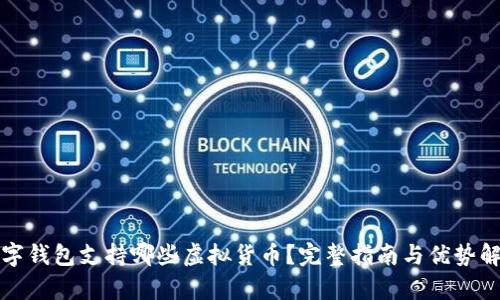 数字钱包支持哪些虚拟货币?完整指南与优势解析